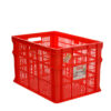 CONTAINER BOX INDUSTRI LION STAR TIPE IC-29 FORTE CREATE 303 (LARGE)