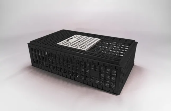 Keranjang Ayam Besar Plastik Hitam Murah Bioplast Bahan PP (2) Keranjang Ayam Besar Plastik Hitam Murah Bioplast Bahan PP, Ukuran 938 x 568 x 280 mm | Raja Plastik Indonesia