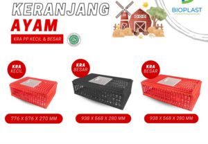 Keranjang Ayam Besar Plastik Hitam Murah Bioplast Bahan PP