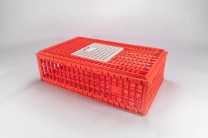 Keranjang Ayam Potong Besar Plastik Orange Bioplast Bahan PP, Ukuran 938 x 568 x 280 mm | Raja Plastik Indonesia