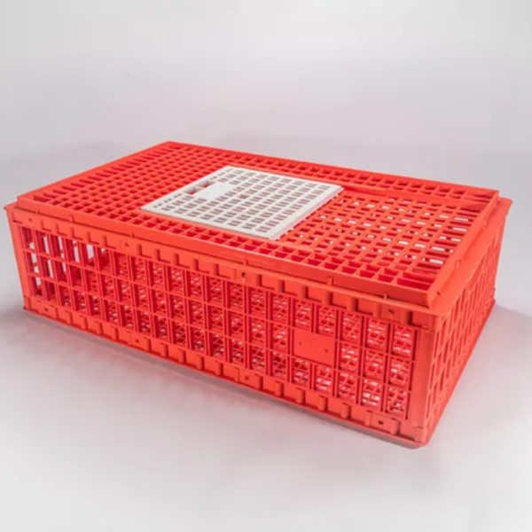 Keranjang Ayam Potong Besar Plastik Orange Bioplast Bahan PP, Ukuran 938 x 568 x 280 mm | Raja Plastik Indonesia