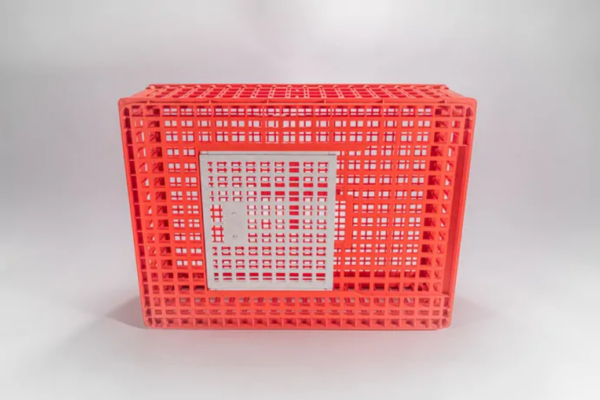 Keranjang Ayam Potong Kecil Plastik Orange Bioplast Bahan PP (1) Keranjang Ayam Potong Kecil Plastik Orange Bioplast Bahan PP, Ukuran 776 x 576 x 270 mm | Raja Plastik Indonesia