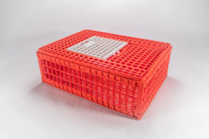 Keranjang Ayam Potong Kecil Plastik Orange Bioplast Bahan PP, Ukuran 776 x 576 x 270 mm | Raja Plastik Indonesia